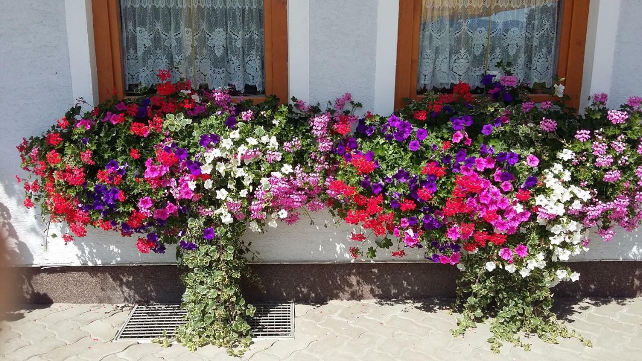 Haus Edlinger Inclusive Murau Sommer Gaeste Card Sankt Georgen ob Murau Exterior photo